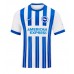 Camiseta Brighton Danny Welbeck #18 Primera Equipación Replica 2024-25 mangas cortas